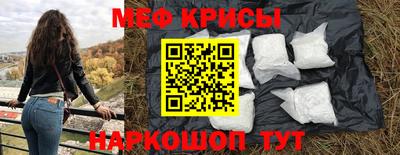 индика Кингисепп