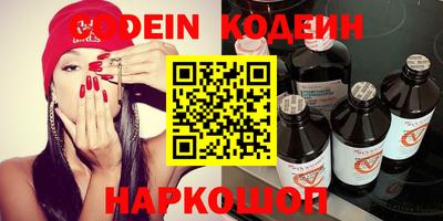 индика Кингисепп
