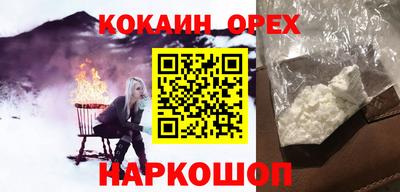 индика Кингисепп