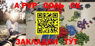 индика Кингисепп