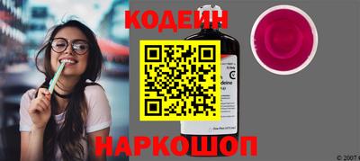 индика Кингисепп