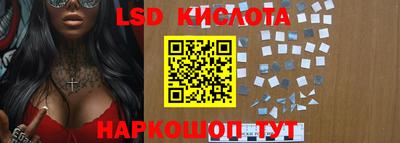 индика Кингисепп