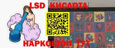 индика Кингисепп