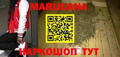 индика Кингисепп