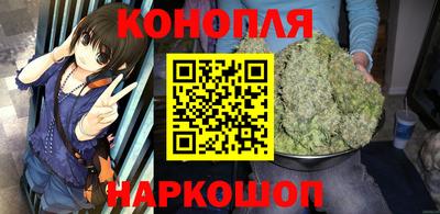 индика Кингисепп